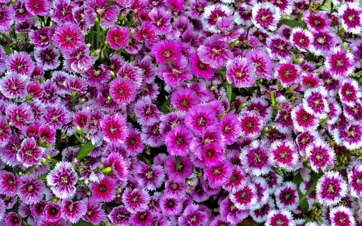 1740142 (a): :2560x1600